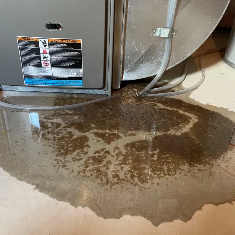 Appliance Leak Cleanup in Petersburg, WV