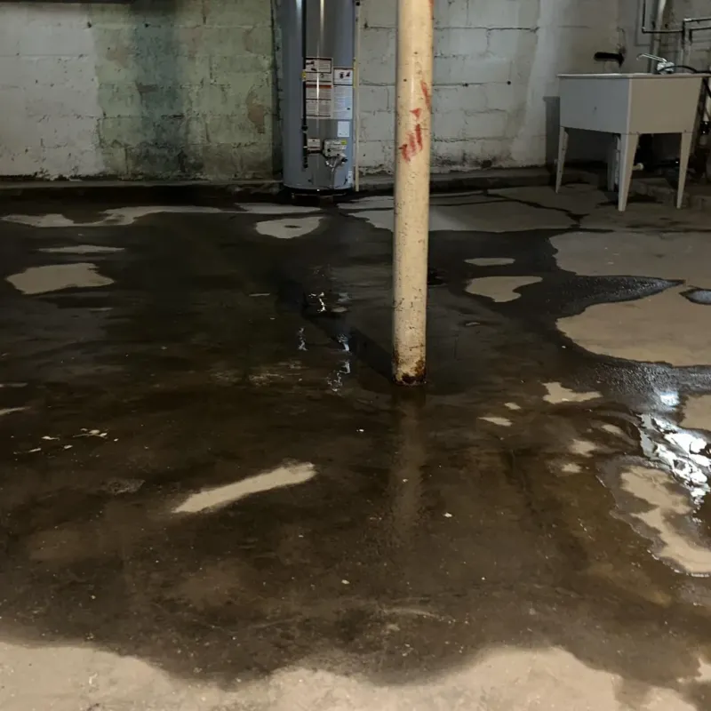 Emergency Water Extraction And Removal in Petersburg, WV